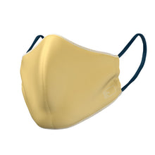 Load image into Gallery viewer, The Mask Life | The Azteca reversible face mask
